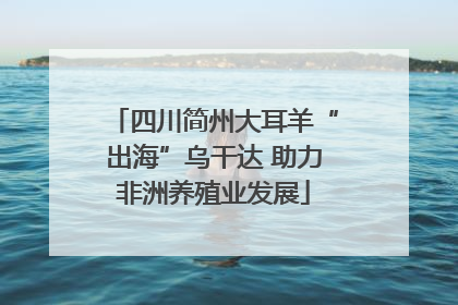 四川简州大耳羊“出海”乌干达 助力非洲养殖业发展