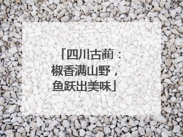四川古蔺：椒香满山野，鱼跃出美味