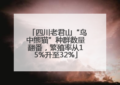 四川老君山“鸟中熊猫”种群数量翻番，繁殖率从15%升至32%