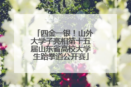 四金一银！山外大学子亮相第十五届山东省高校大学生跆拳道公开赛
