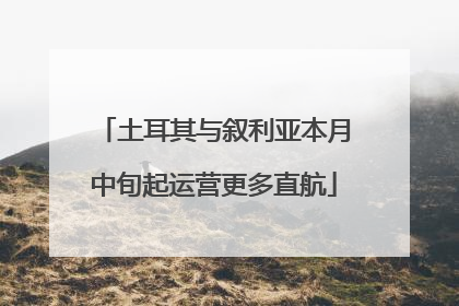 土耳其与叙利亚本月中旬起运营更多直航