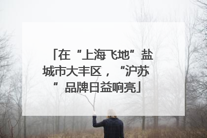 在“上海飞地”盐城市大丰区，“沪苏”品牌日益响亮