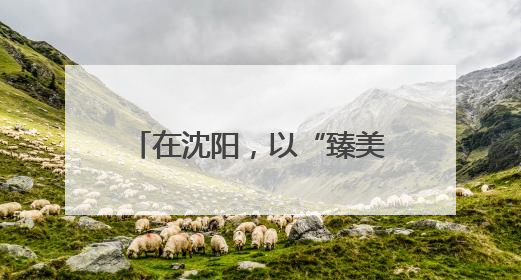 在沈阳，以“臻美”为教育理念的学校，真不一般！