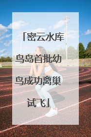 密云水库鸟岛首批幼鸟成功离巢试飞