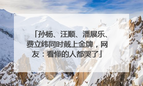 孙杨、汪顺、潘展乐、费立纬同时戴上金牌，网友：看懂的人都哭了