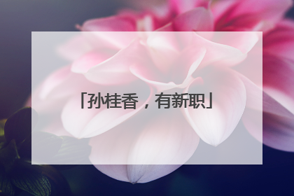 孙桂香，有新职