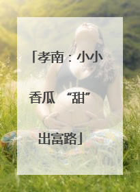 孝南：小小香瓜 “甜”出富路