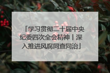学习贯彻二十届中央纪委四次全会精神丨深入推进风腐同查同治