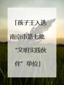孩子王入选南京市第七批“文明实践伙伴”单位