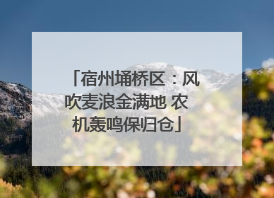 宿州埇桥区：风吹麦浪金满地 农机轰鸣保归仓