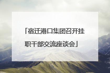 宿迁港口集团召开挂职干部交流座谈会