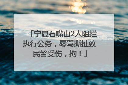 宁夏石嘴山2人阻拦执行公务，辱骂撕扯致民警受伤，拘！