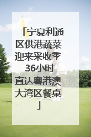 宁夏利通区供港蔬菜迎来采收季 36小时直达粤港澳大湾区餐桌