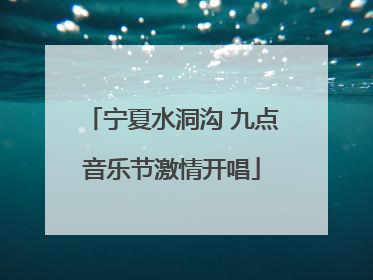 宁夏水洞沟 九点音乐节激情开唱
