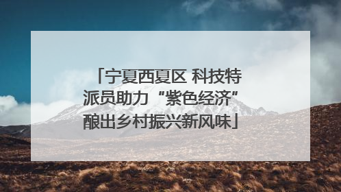 宁夏西夏区 科技特派员助力“紫色经济”酿出乡村振兴新风味