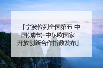 宁波位列全国第五 中国(城市)-中东欧国家开放创新合作指数发布