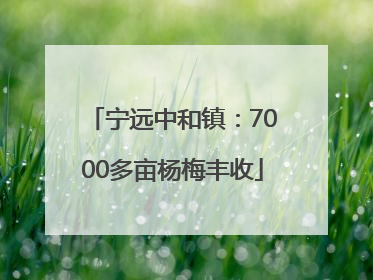 宁远中和镇：7000多亩杨梅丰收