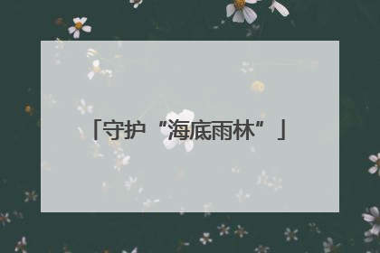守护“海底雨林”