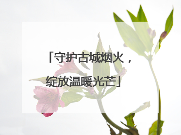 守护古城烟火，绽放温暖光芒