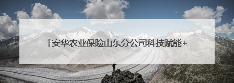 安华农业保险山东分公司科技赋能+双精准 筑牢粮食安全“稳定器”