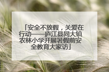安全不放假，关爱在行动——庐江县同大镇农林小学开展暑假前安全教育大家访
