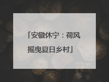 安徽休宁：荷风摇曳夏日乡村