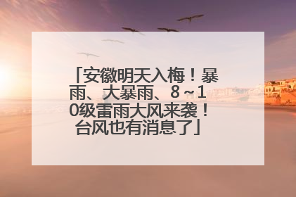 安徽明天入梅！暴雨、大暴雨、8～10级雷雨大风来袭！台风也有消息了