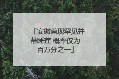 安徽首现罕见并蒂睡莲 概率仅为百万分之一