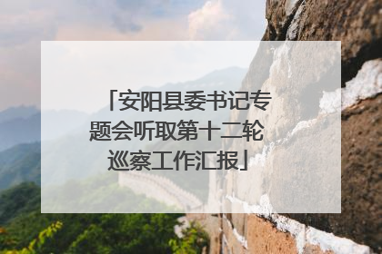 安阳县委书记专题会听取第十二轮巡察工作汇报