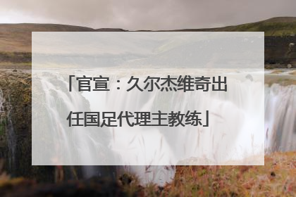 官宣：久尔杰维奇出任国足代理主教练