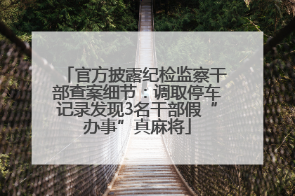官方披露纪检监察干部查案细节：调取停车记录发现3名干部假“办事”真麻将