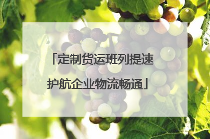 定制货运班列提速 护航企业物流畅通