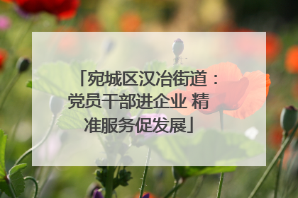 宛城区汉冶街道：党员干部进企业 精准服务促发展