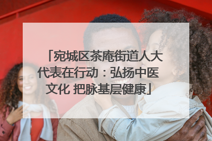 宛城区茶庵街道人大代表在行动：弘扬中医文化 把脉基层健康