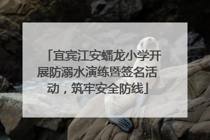 宜宾江安蟠龙小学开展防溺水演练暨签名活动，筑牢安全防线