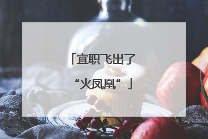 宜职飞出了“火凤凰”