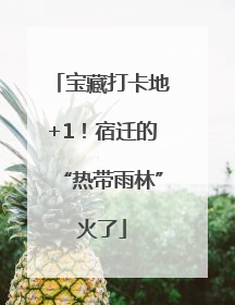 宝藏打卡地+1！宿迁的“热带雨林”火了