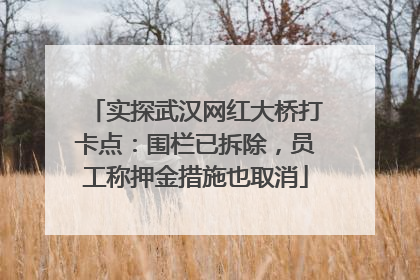 实探武汉网红大桥打卡点：围栏已拆除，员工称押金措施也取消