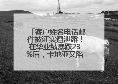 客户姓名电话邮件被证实遭泄露！在华业绩暴跌23%后，卡地亚又陷“信任危机”