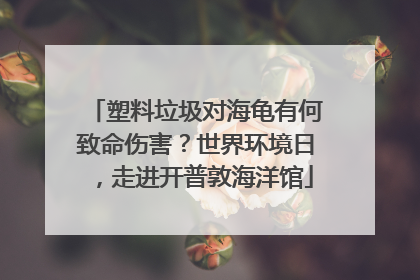 塑料垃圾对海龟有何致命伤害？世界环境日，走进开普敦海洋馆