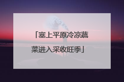 塞上平原冷凉蔬菜进入采收旺季