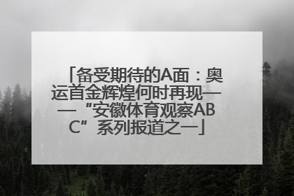 备受期待的A面：奥运首金辉煌何时再现——“安徽体育观察ABC”系列报道之一