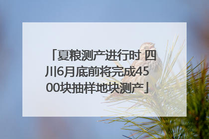 夏粮测产进行时 四川6月底前将完成4500块抽样地块测产