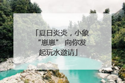 夏日炎炎，小象“崽崽” 向你发起玩水邀请