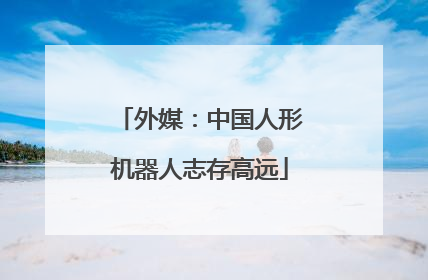外媒：中国人形机器人志存高远