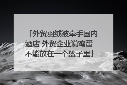 外贸羽绒被牵手国内酒店 外贸企业说鸡蛋不能放在一个篮子里