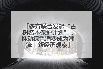 多方联合发起“古树名木保护计划”，推动绿色消费成为潮流丨新经济观察