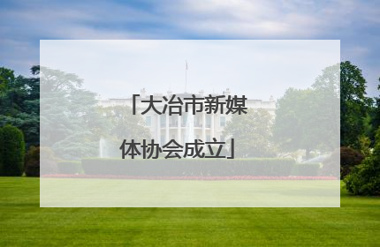 大冶市新媒体协会成立