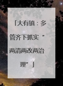 大有镇：多管齐下抓实“两清两改两治理”