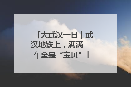 大武汉一日｜武汉地铁上，满满一车全是“宝贝”